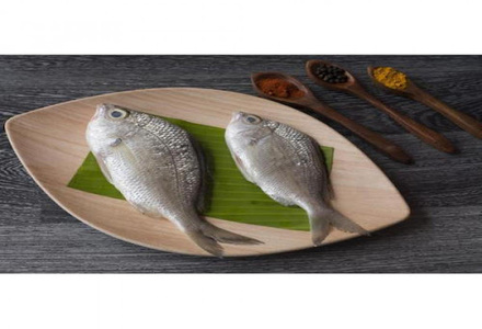 Cleaned Pranjil/ Long Rayed Silver Biddy / പ്രാഞ്ഞിൽ Large (400gm) 