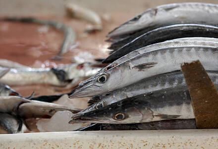 Cleaned Barracuda /  Sheelav  / ശീലാവ്മീൻ- 400gm