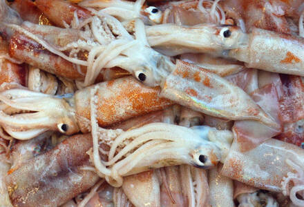 Cleaned Squid Medium / Kanava / കൂന്തൽ - (240-280gm)