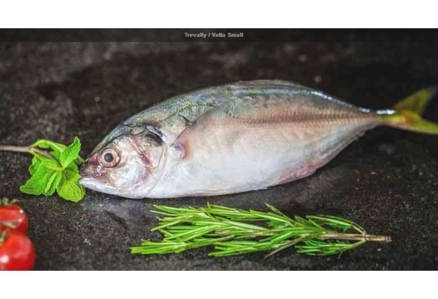 Cleaned Trevally /  Puzha Vatta / Puzha വറ്റ Medium (400gm) 