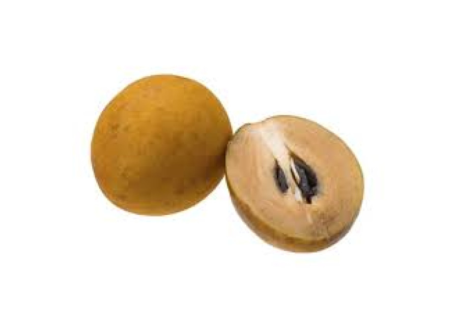Chikoo Fruit / Sapodilla Fruit - 500gm
