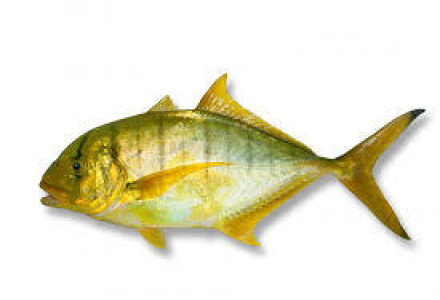 Cleaned Golden Trevally Small /  Vatta / വറ്റ (400gm) 