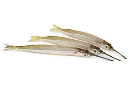 Cleaned Needle Fish / Soochi Malsyam - 400gm