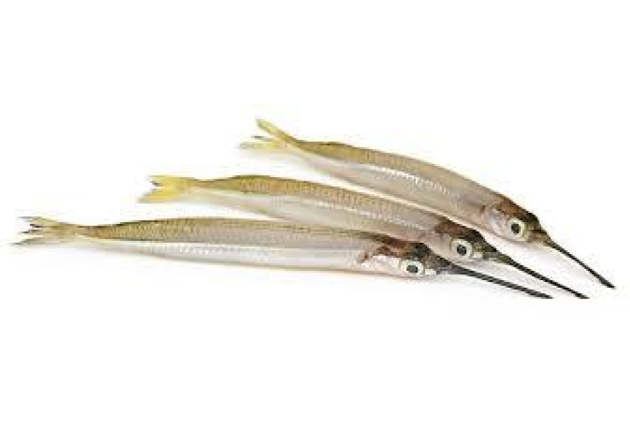Cleaned Needle Fish / Soochi Malsyam - 400gm