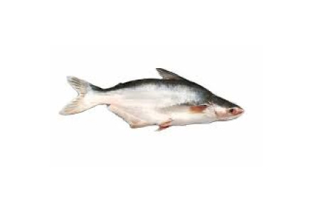Cleaned Basa Fish / Vaala Koori Pcs - 400gm