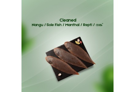 Cleaned Sole Fish/ Kayal Nangu Round/നങ്ക്‌(350gm-400gm)