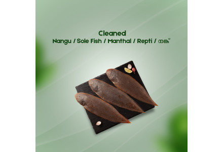 Cleaned Sole Fish/Nangu/Manthal/നങ്ക്‌ Long (350gm-400gm)