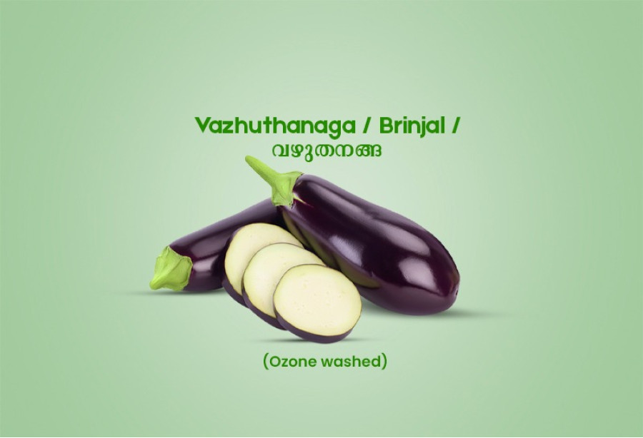 Vazhuthanaga / Brinjal Violet / വഴുതനങ്ങ - 250gm pack ( Ozone washed)