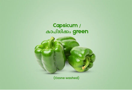 Capsicum Green / കാപ്സിക്കം Green 100gm - 150gm (Ozone Washed)