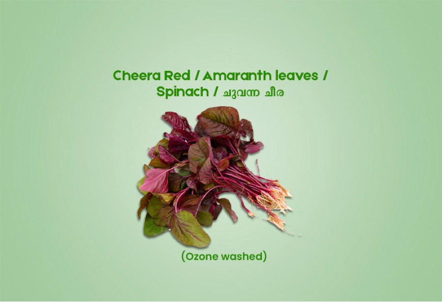 Cheera Red / Spinach / ചുവന്ന ചീര - 200.00 gm ( Ozone Washed)