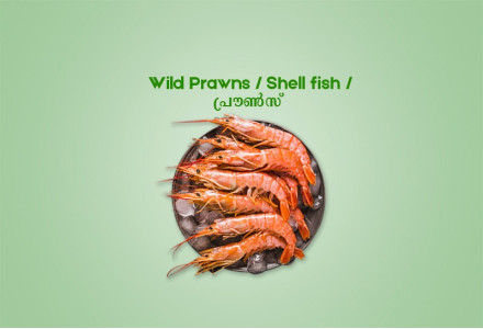 Wild Prawns Big / Shell fish / പ്രൗൺസ് (500gm) - Not Cleaned