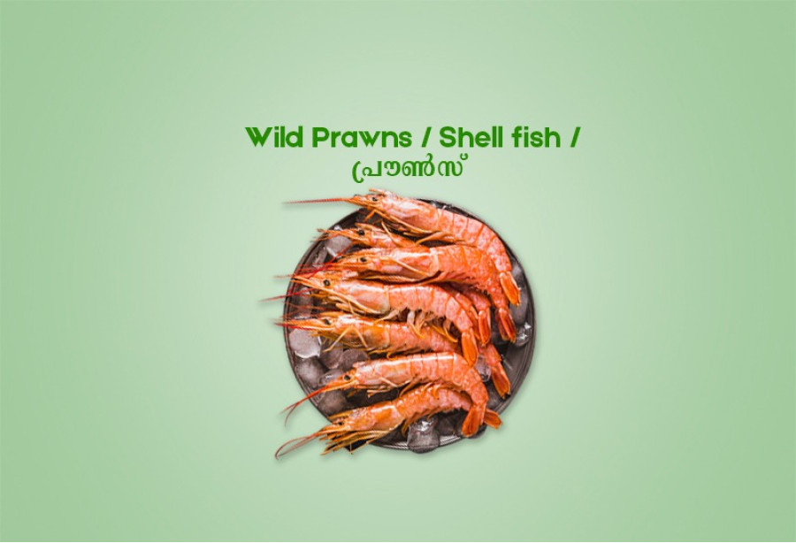 Wild Prawns Big / Shell fish / പ്രൗൺസ് (500gm) - Not Cleaned