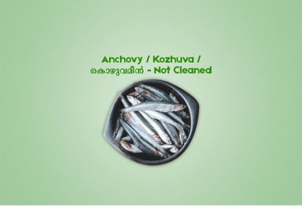Anchovy /  Kozhuva  /  കൊഴുവമീൻ (500gm) - Not Cleaned
