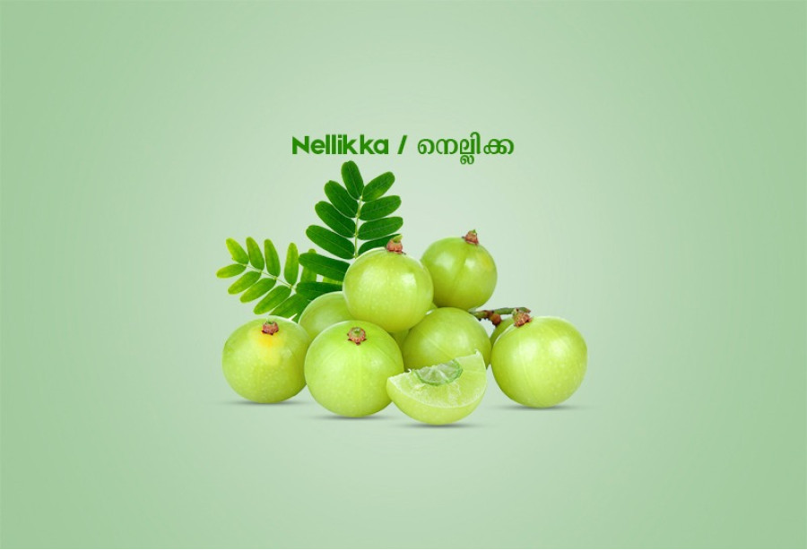 Nellikka /  നെല്ലിക്ക - 250gm