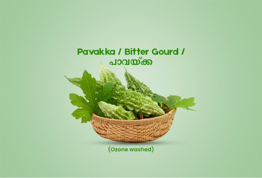 Pavakka / Bitter Gourd / പാവയ്ക്ക - 500gm Pack ( Ozone Washed)
