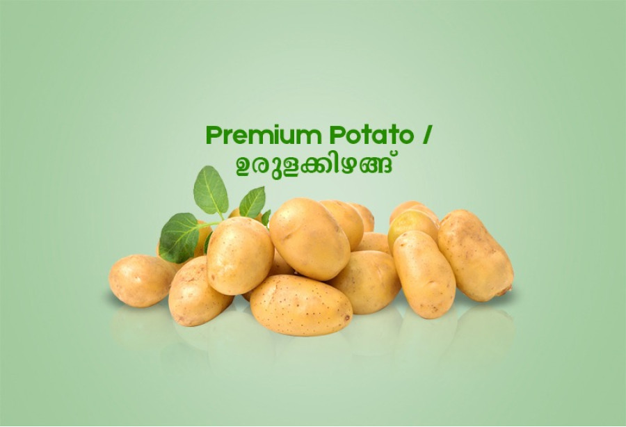 Premium Potato / ഉരുളക്കിഴങ്ങ് - 500gm 