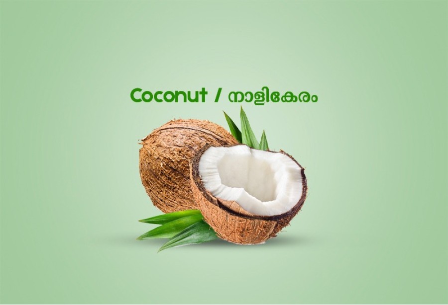 Coconut / നാളികേരം 1.00 kg