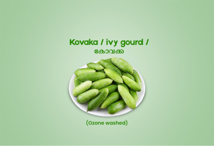 Kovaka / ivy gourd /കോവക്ക - 250g Pack ( Ozone Washed)