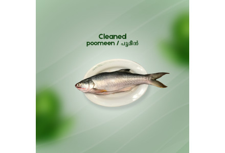 Cleaned Poomeen / Milk fish/പൂമീൻ Pcs - (400gm)