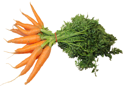Carrot / ക്യാരറ്റ് - 250gm Pack (Ozone Washed)