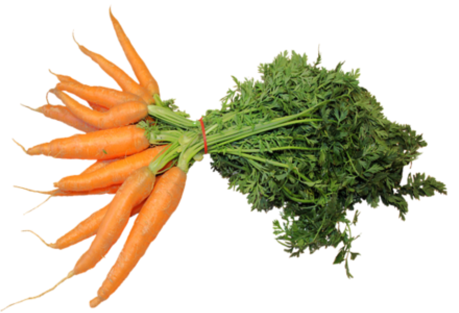 Carrot / ക്യാരറ്റ് - 250gm Pack (Ozone Washed)