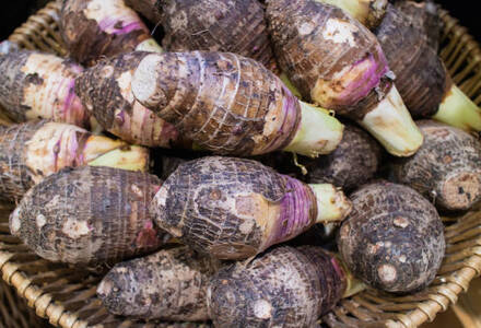 Chembu / Taro / ചേമ്പ് -250gm
