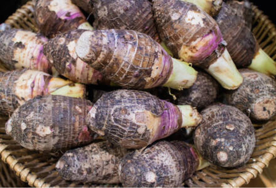 Chembu / Taro / ചേമ്പ് -250gm